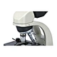 Best Coin Microscope